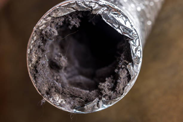 Best Best Air Duct Cleaning Company  in Manito, IL